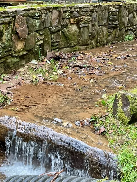 Other - 148 Soap Stick Dr, Sylva, NC 28779 photo 2 of 6