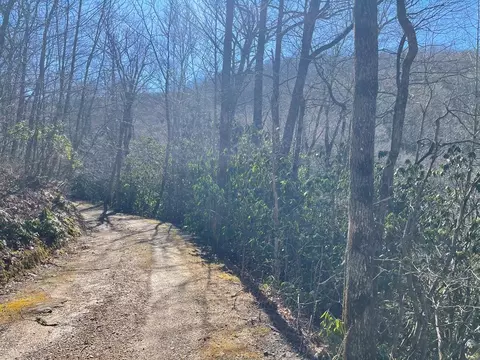 lot63 Walnut Gap Rd, Cullowhee, NC 28723