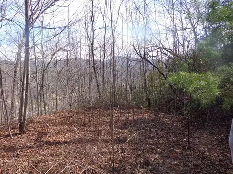 lot7 Plainview Rdg, Sylva, NC 28779 photo 6