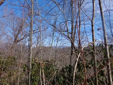 lot7 Plainview Rdg, Sylva, NC 28779 photo 2