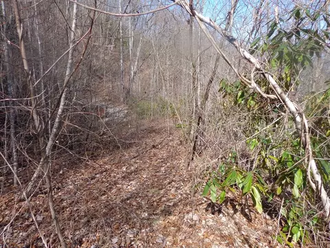 lot7 Plainview Rdg, Sylva, NC 28779 photo 8