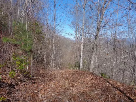 lot7 Plainview Rdg, Sylva, NC 28779 photo 7