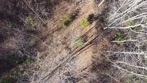 lot7 Plainview Rdg, Sylva, NC 28779 photo 10