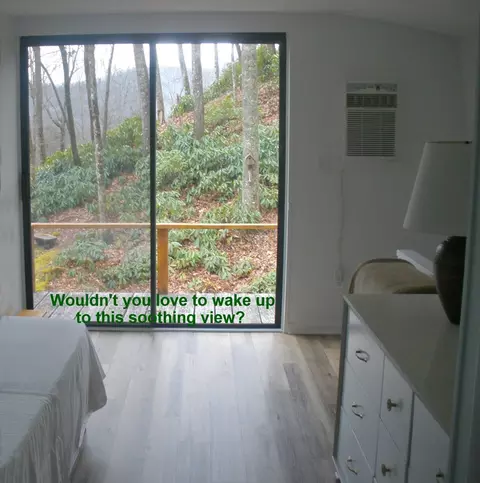 47 Lotmore Rd, Sylva, NC 28779 photo 28