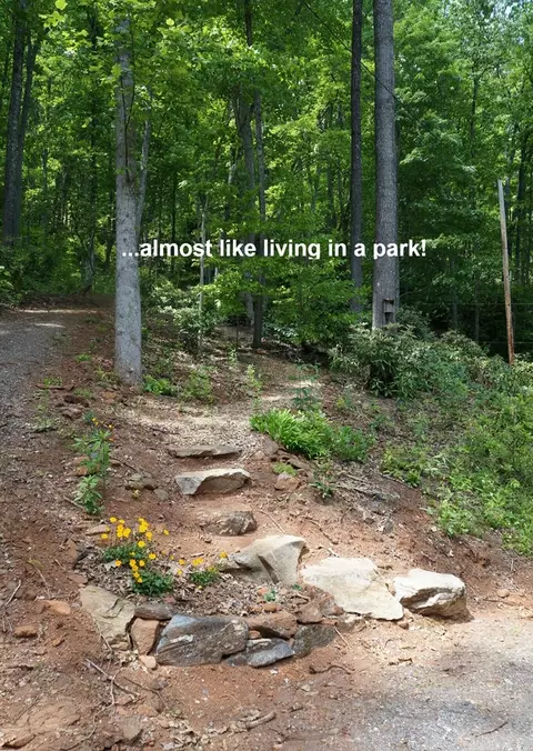 47 Lotmore Rd, Sylva, NC 28779 photo 45