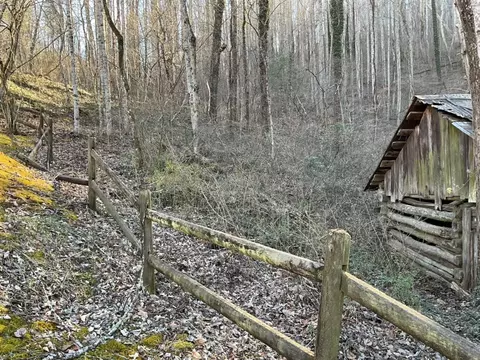 176 Walter Ashe Rd, Sylva, NC 28779 photo 4
