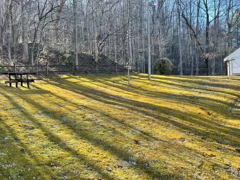176 Walter Ashe Rd, Sylva, NC 28779 photo 3