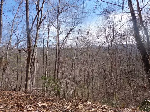 148 Plainview Rdg, Sylva, NC 28779 photo 8