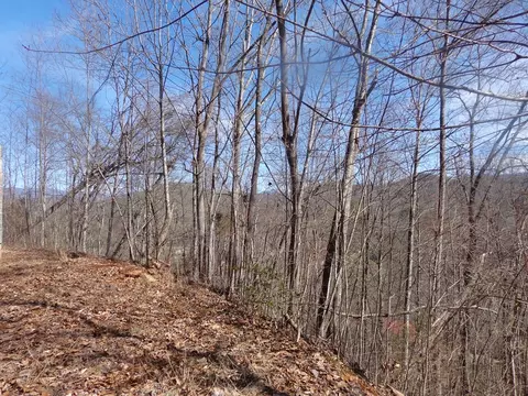 148 Plainview Rdg, Sylva, NC 28779 photo 7