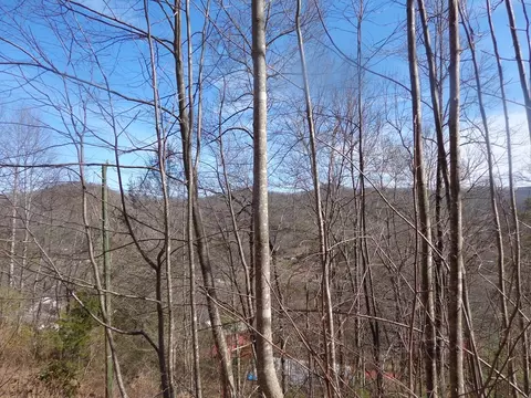 148 Plainview Rdg, Sylva, NC 28779 photo 15