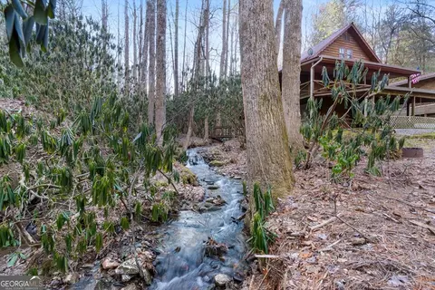 189 Wild Azalea, Dillard, GA 30537