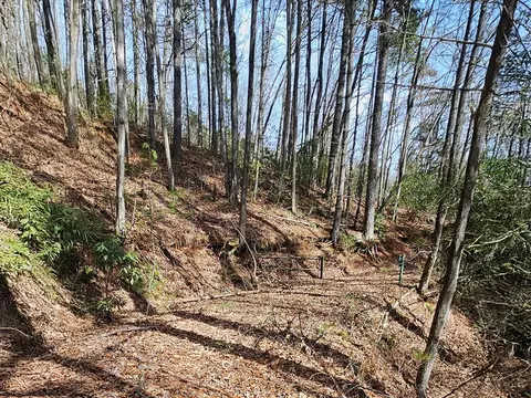 00 Brushy Fork Rd, Sylva, NC 28779