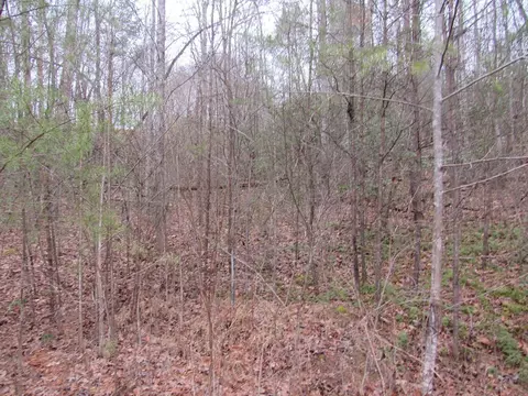 lot28 June Bug Ln, Murphy, NC 28906 photo 2