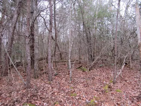 lot28 June Bug Ln, Murphy, NC 28906