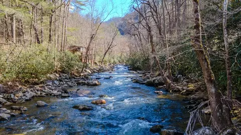 384 Highlands Gorge Pt, Franklin, NC 28734