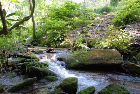 lot4 Flint Ridge Rd, Bryson City, NC 28713
