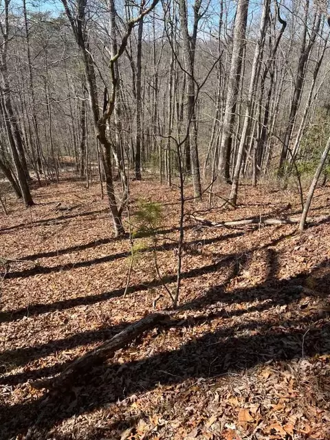 lot40 Timberland Trl, Franklin, NC 28734