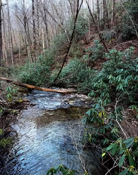 Undisclosed, Bryson City, NC 28713