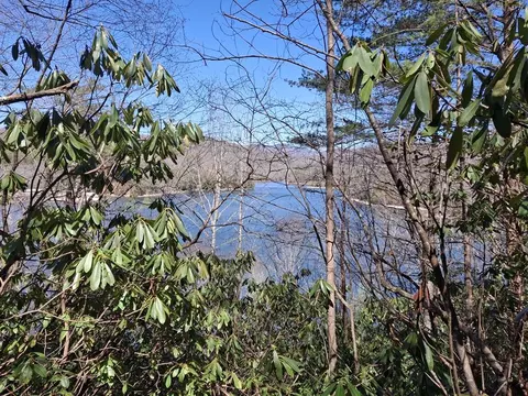 0 Vess Owen Rd, Tuckasegee, NC 28783