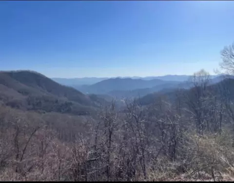 9695 Canada Rd, Tuckasegee, NC 28783