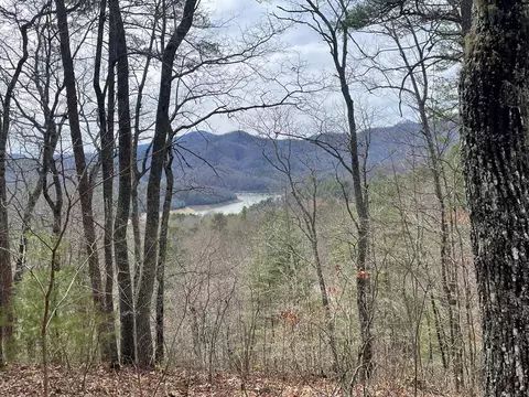 lot98 2 Wild Orchid Trl, Bryson City, NC 28713