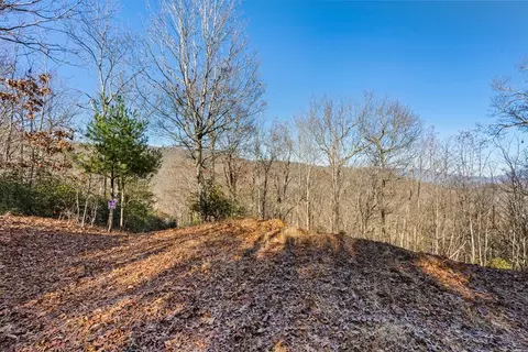69 81 Winter Moon Rdg, Sylva, NC 28779 photo 18