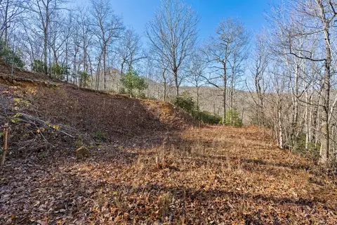 69 81 Winter Moon Rdg, Sylva, NC 28779 photo 14