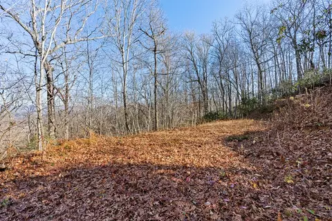 69 81 Winter Moon Rdg, Sylva, NC 28779 photo 16