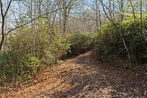 69 81 Winter Moon Rdg, Sylva, NC 28779 photo 8