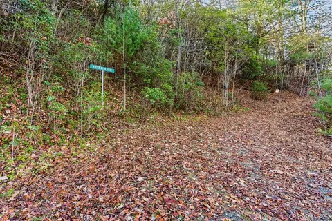 69 81 Winter Moon Rdg, Sylva, NC 28779 photo 24