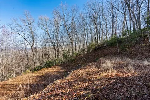 69 81 Winter Moon Rdg, Sylva, NC 28779 photo 21