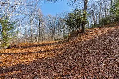 69 81 Winter Moon Rdg, Sylva, NC 28779 photo 13