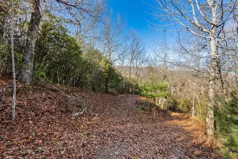 69 81 Winter Moon Rdg, Sylva, NC 28779 photo 12