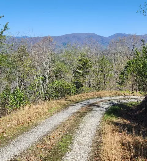 lot14 Lost Indian Trl, Whittier, NC 28789