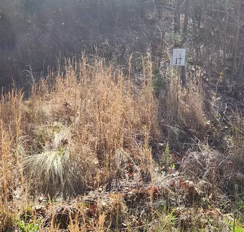 lot17 Lost Indian Trl, Whittier, NC 28789