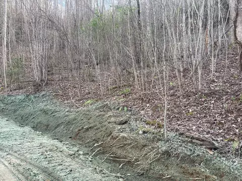 lot4 Copperhead Cv, Sylva, NC 28779 photo 10