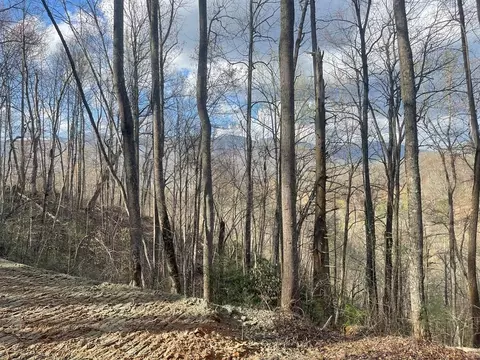 lot4 Copperhead Cv, Sylva, NC 28779