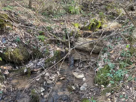 lot4 Copperhead Cv, Sylva, NC 28779 photo 13