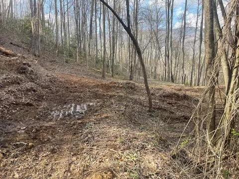lot4 Copperhead Cv, Sylva, NC 28779 photo 5