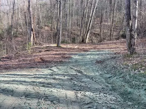 lot4 Copperhead Cv, Sylva, NC 28779 photo 9