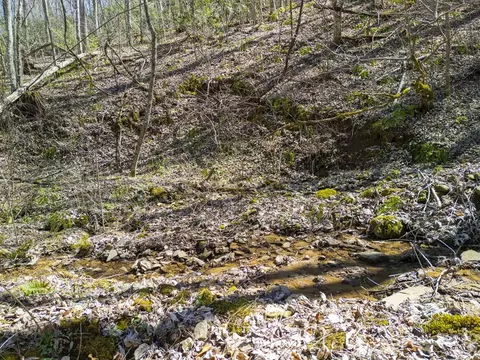 lot4 Copperhead Cv, Sylva, NC 28779 photo 11