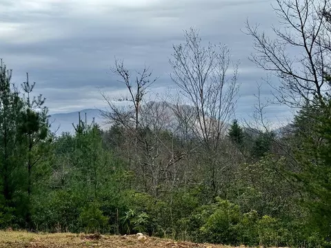 25 Mystic Ridge Way E, Topton, NC 28781