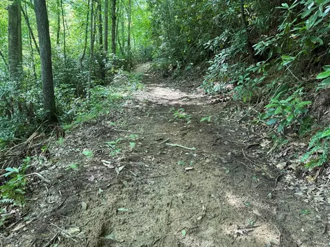 lot5 Copperhead Rd, Sylva, NC 28779 photo 26