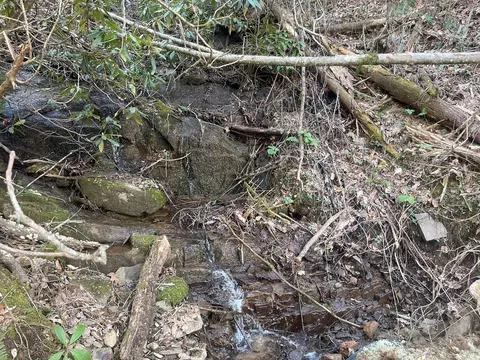 lot5 Copperhead Rd, Sylva, NC 28779 photo 13