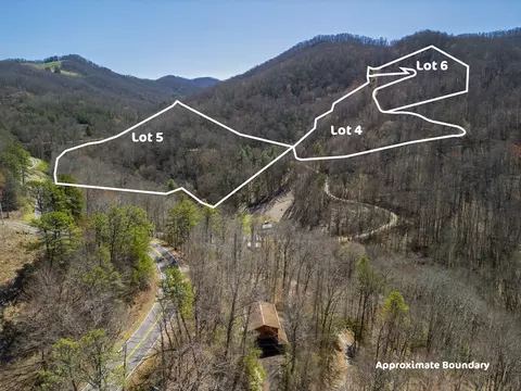 lot5 Copperhead Rd, Sylva, NC 28779 photo 17