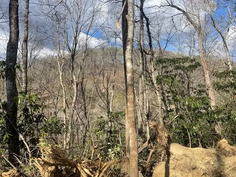 lot5 Copperhead Rd, Sylva, NC 28779 photo 3