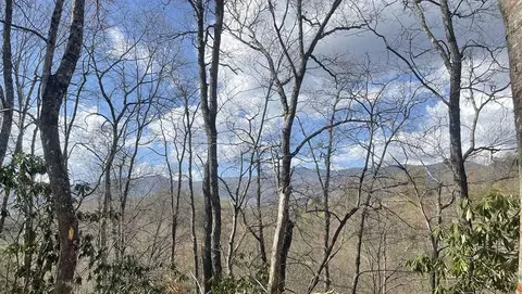 lot5 Copperhead Rd, Sylva, NC 28779