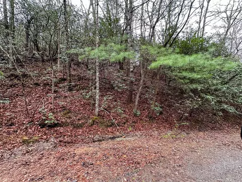 lot3 Tara Hls, Whittier, NC 28789
