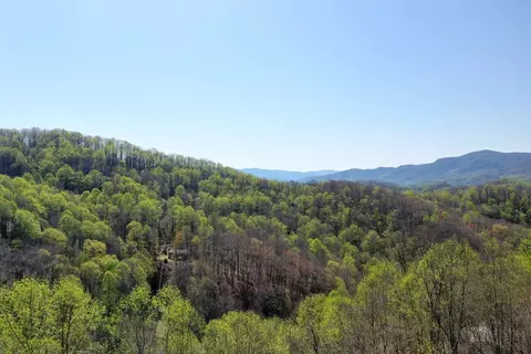 12 3 Top Drop Ln, Sylva, NC 28779 photo 16