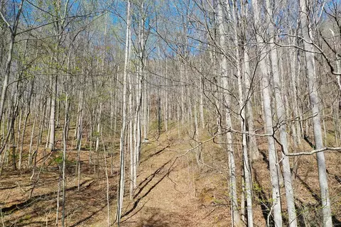 12 3 Top Drop Ln, Sylva, NC 28779 photo 5